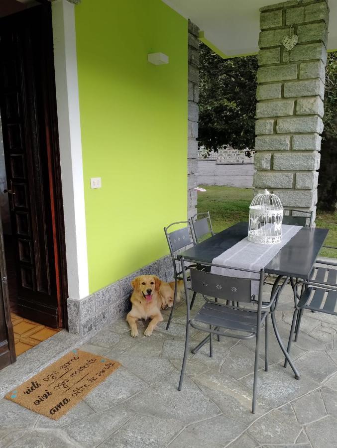 Il Faggio Bed and Breakfast Beura Eksteriør billede